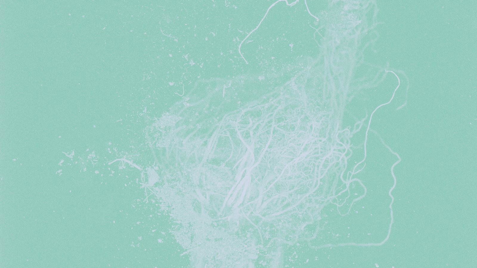 «Это способ описать работу памяти»: Дарья Трайден рассказывает о новом романе, саде и других увлечениях